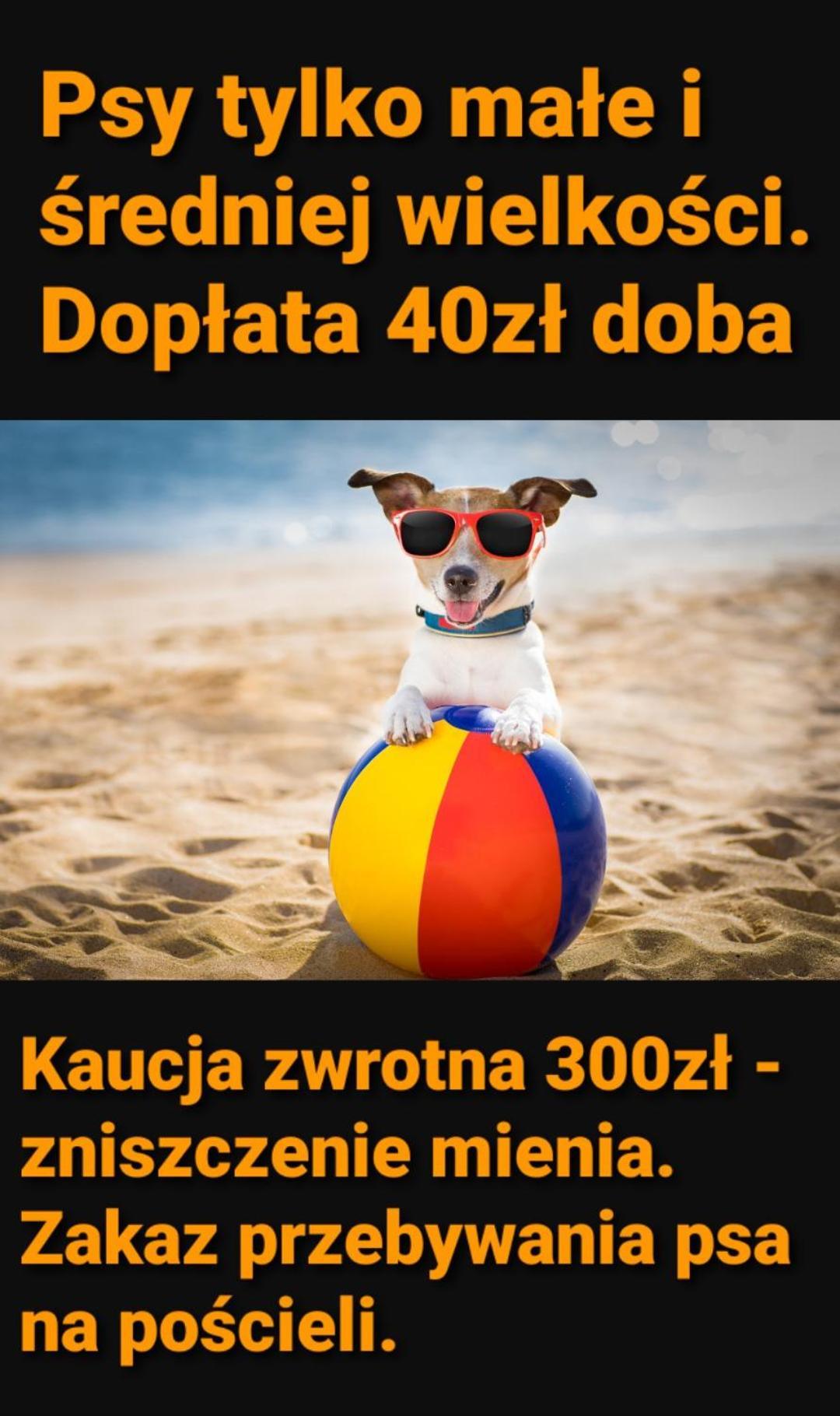 Pokoje Sandra II Łeba Extérieur photo